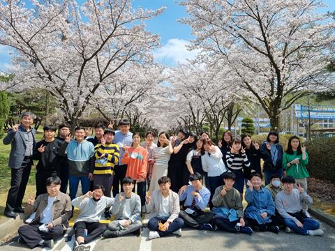 벚꽃가득한 안산대학교 교정