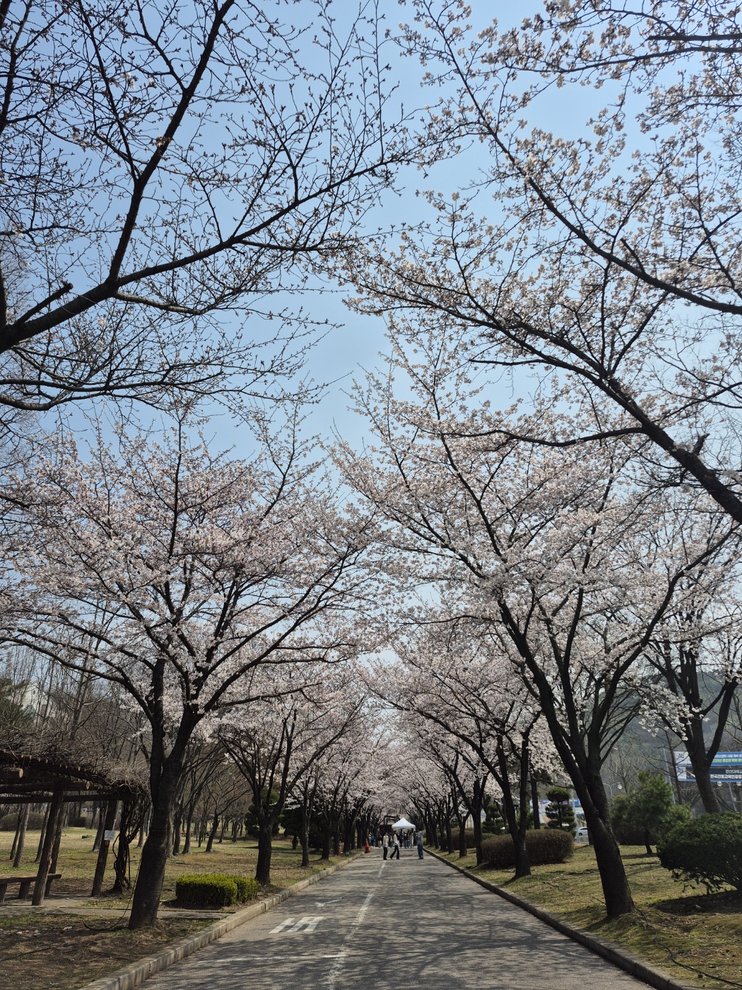 KakaoTalk_20250410_154805327_03.jpg